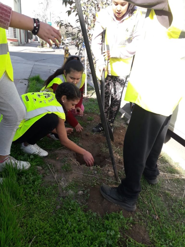Reforestación aqui en tu barrio.