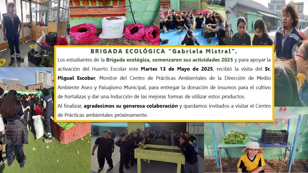 LGM CONTINÚA ESTE AÑO CON SU BRIGADA ECOLÓGICA